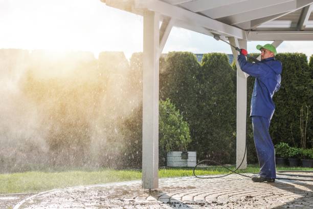 Trusted Lolo, MT  Pressure Washing Services Experts